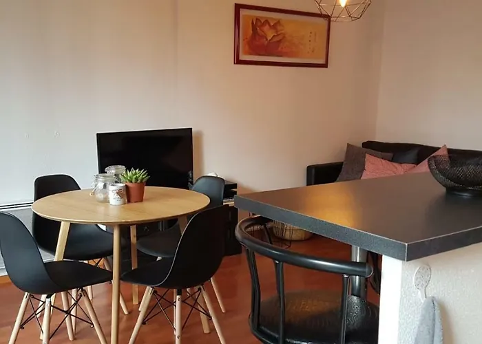 アパート Chez Damien コルマール